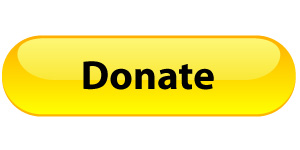 donate-button